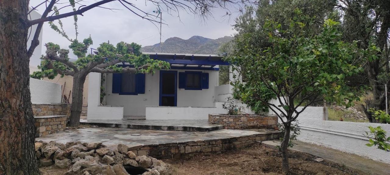 Chrysa'S Cottage House Κάρυστος Εξωτερικό φωτογραφία