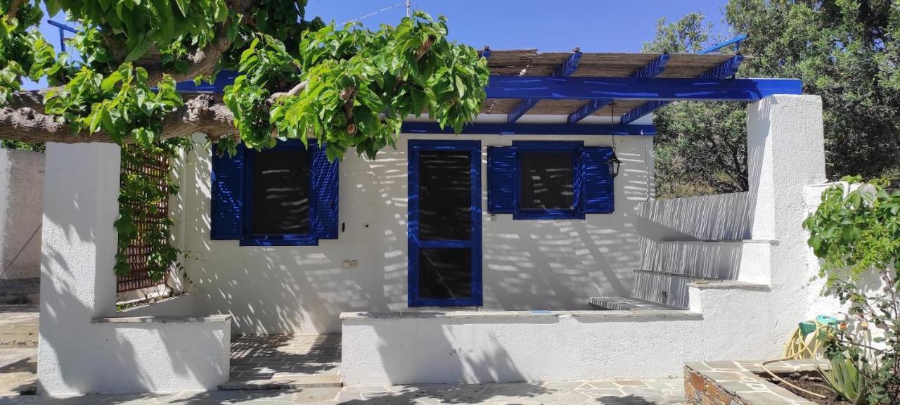 Chrysa'S Cottage House Κάρυστος Εξωτερικό φωτογραφία