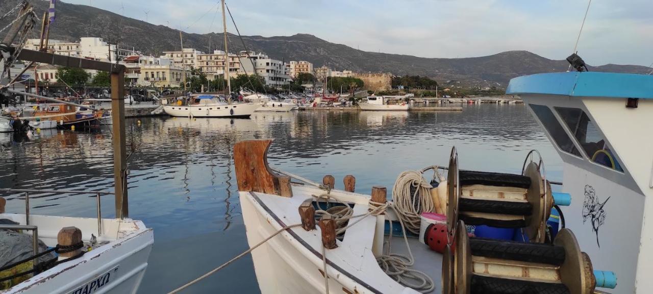 Chrysa'S Cottage House Κάρυστος Εξωτερικό φωτογραφία