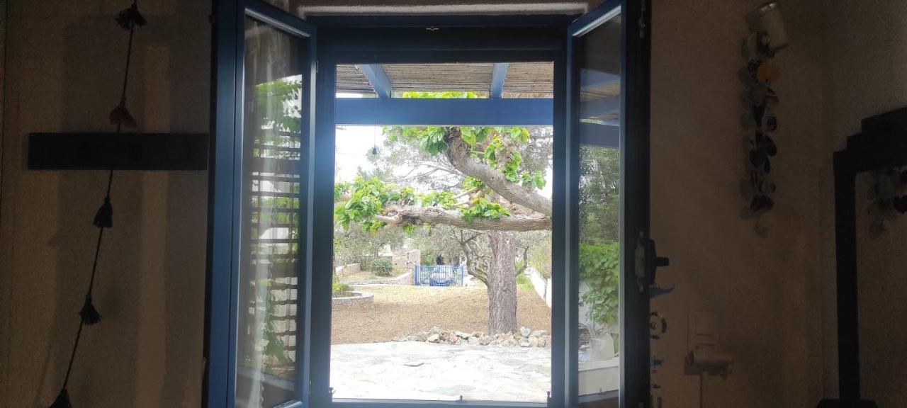 Chrysa'S Cottage House Κάρυστος Εξωτερικό φωτογραφία