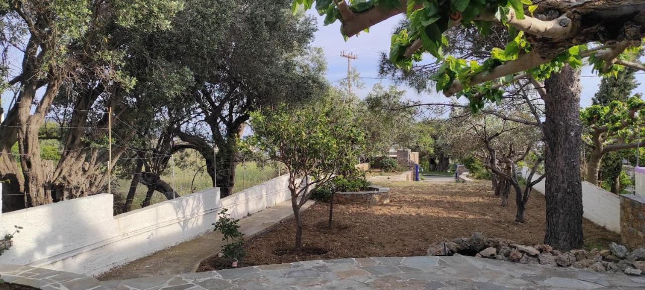 Chrysa'S Cottage House Κάρυστος Εξωτερικό φωτογραφία