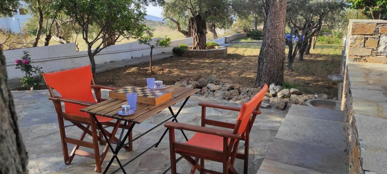 Chrysa'S Cottage House Κάρυστος Εξωτερικό φωτογραφία