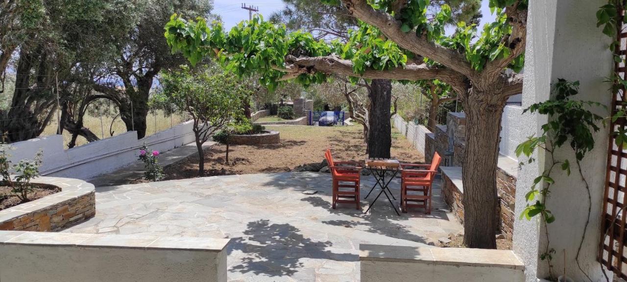 Chrysa'S Cottage House Κάρυστος Εξωτερικό φωτογραφία